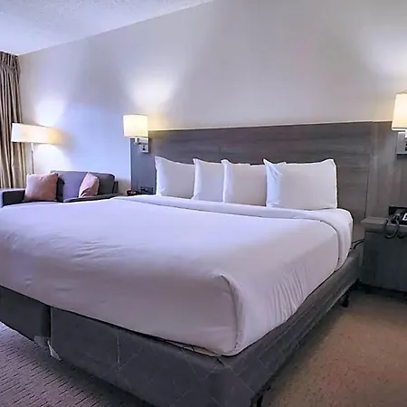 Las Palmas Hotel Tucson
